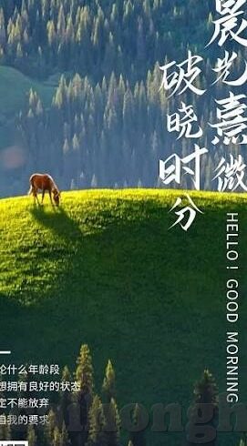 91麻豆国产自拍-91麻豆国产自拍，跨越边界的创意与自我表达的艺术