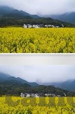 91麻豆免费在线观看-网络世界中的灰色地带，审慎与尊重的再思考