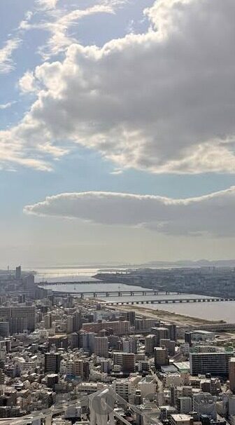 大象传媒视频app骚-探索大象传媒视频app的多元魅力，内容丰富性与用户体验的深度剖析