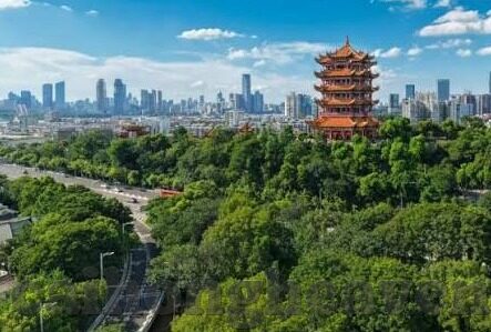 二年级全集麻豆视频-二年级学习乐园，全面发展与快乐成长的秘密