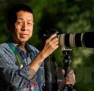 麻豆av官网-从精致影像到内心透视，探索网络视频平台的独特魅力