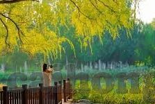 神马伦理片热门轮理236宅宅网-探索网络伦理的灰色地带，对热门伦理236宅宅网的深思