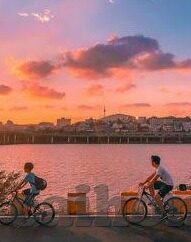 糖心视频vlog 多乙-探秘糖心视频vlog，多媒体时代的创意与叙事新潮