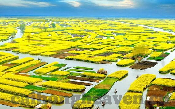 伊人久久精品一区二区三区-探寻网络世界的文化角落，伊人久久精品一区二区三区的多元魅力